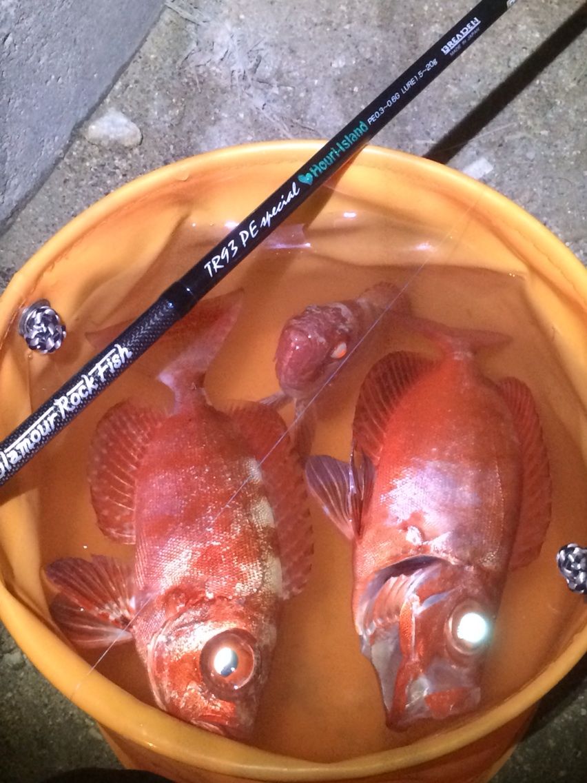 クサラー カマス ネンブツダイ カミヤマ ライトゲーム 沖縄ルアー釣り プラグ ワーム 五目釣り クサラー カマス ネンブツダイ カミヤマ ライトゲーム 沖縄ルアー釣り プラグ ワーム 五目釣り