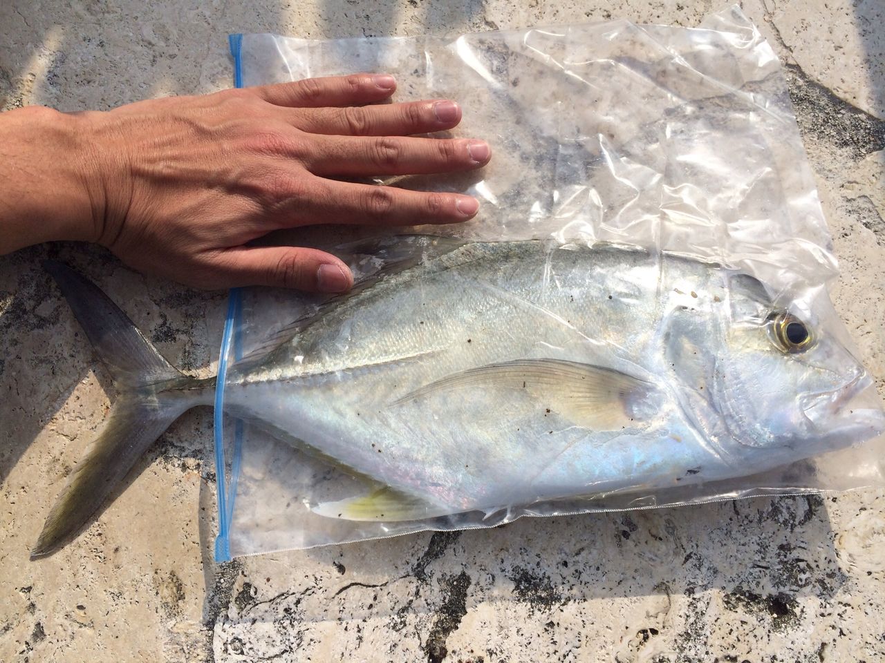 与那原 メタルマルでガーラヒット カミヤマ ライトゲーム 沖縄ルアー釣り プラグ ワーム 五目釣り