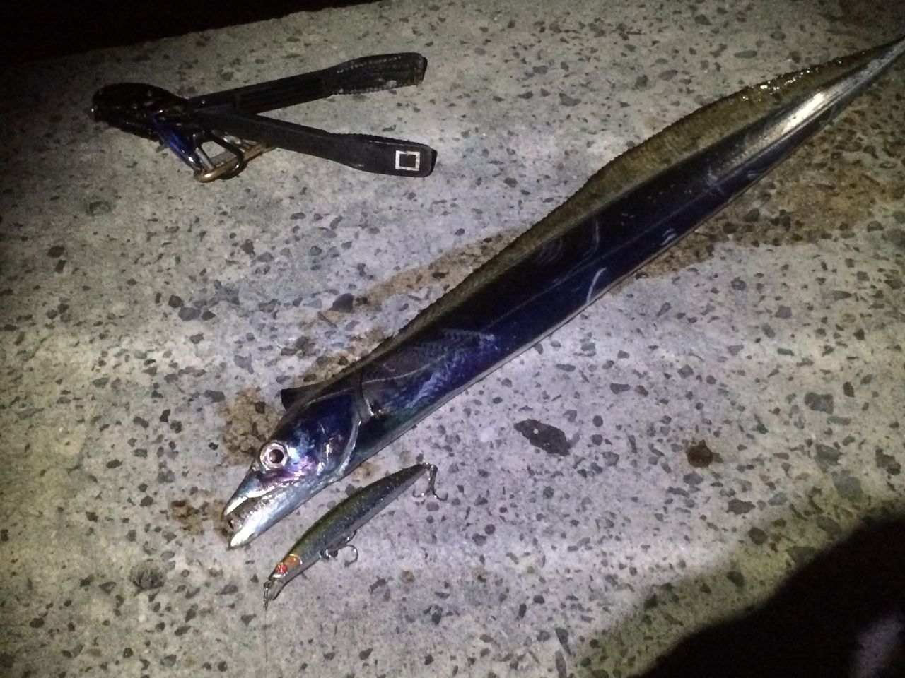 那覇の漁港で3夜連続 太刀魚 Get カミヤマ ライトゲーム 沖縄ルアー釣り プラグ ワーム 五目釣り 那覇の漁港で3夜連続 太刀魚 Get カミヤマ ライトゲーム 沖縄ルアー釣り プラグ ワーム 五目釣り