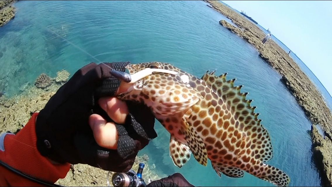 那覇でワームを使ったミーバイのhitシーンが撮れた カミヤマ ライトゲーム 沖縄ルアー釣り プラグ ワーム 五目釣り