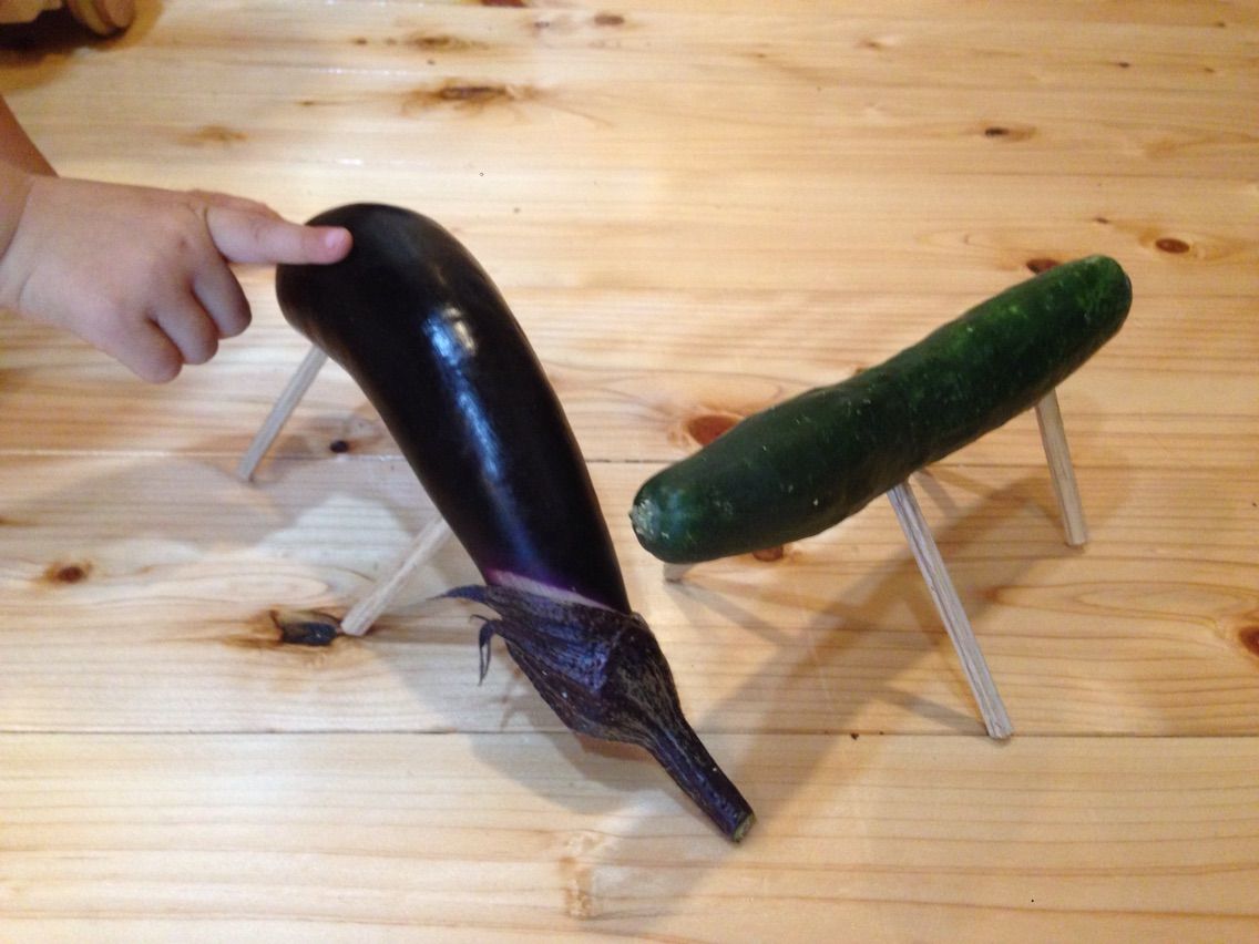 お盆用品 精霊馬承っております 神谷商店の情報共有の為のblog