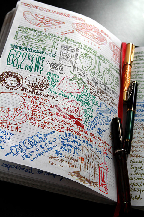 fountain pen_timesystem_note_ichigo