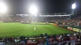 16091202