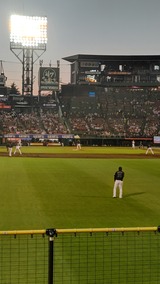 DSC_5004