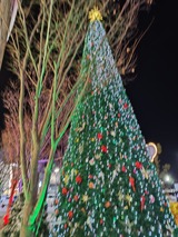 241220182618135
