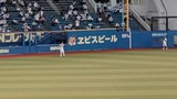 DSC_3252