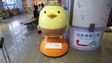 JPEG_20180610_152837_7745684598640200564