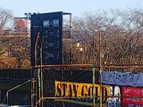 DSC_0384