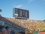 250503144523392