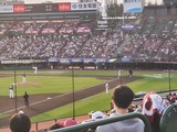 230404165248338