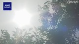 2507181