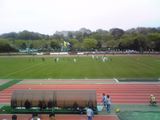 8f022460.jpg