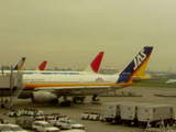 DSC00247.JPG