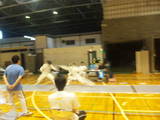 9701532a.jpg