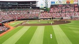 JPEG_20190515_130615_8766551161958065098
