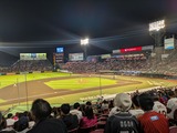 MP