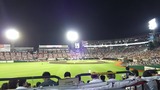 1608262
