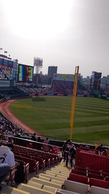 DSC_4589