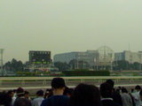 cc97f62c.JPG