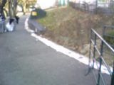 f28d203f.jpg