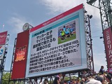 260517131516084