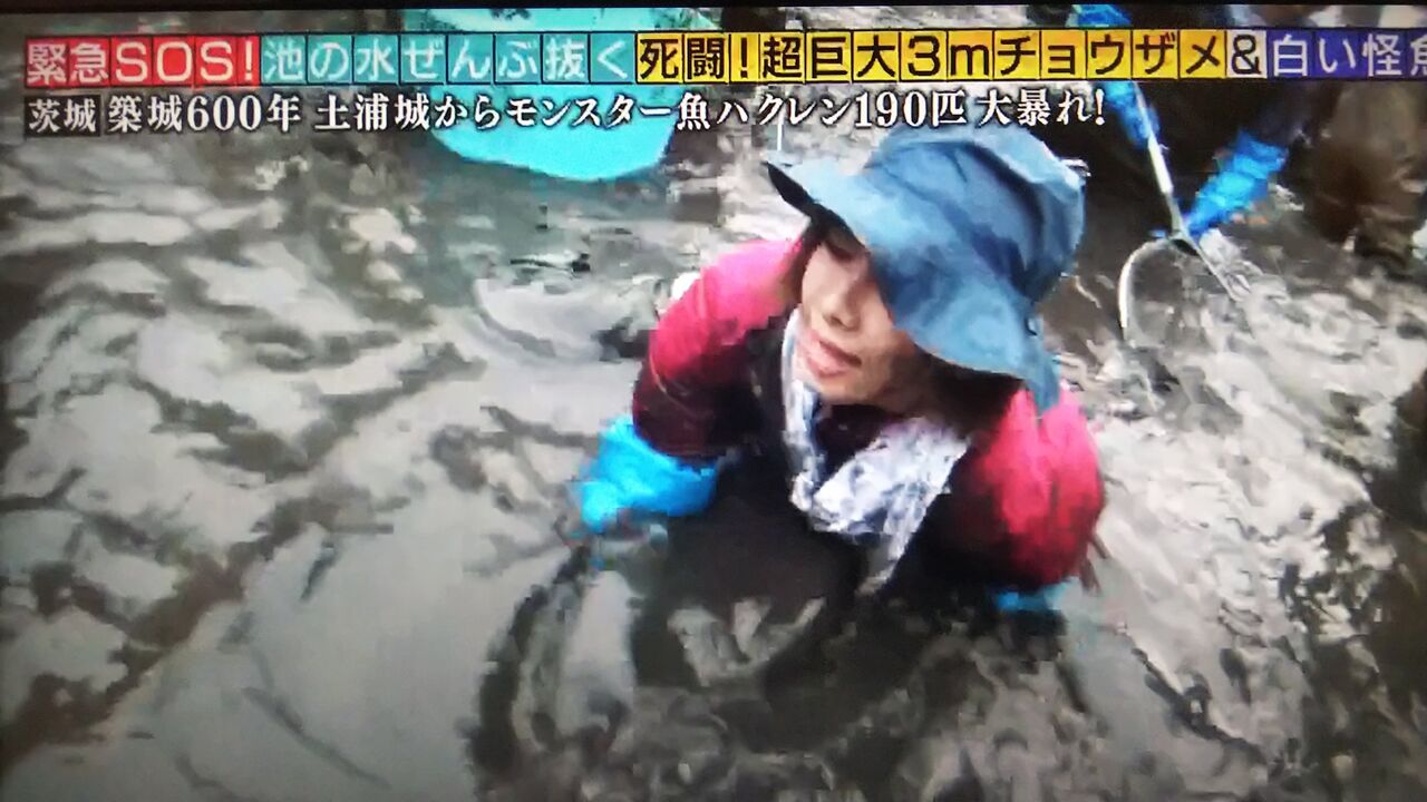 今回も泥んこしーちゃん はい こちら加茂ちゃんで す 今回も泥んこしーちゃん はい こちら加茂ちゃんで す