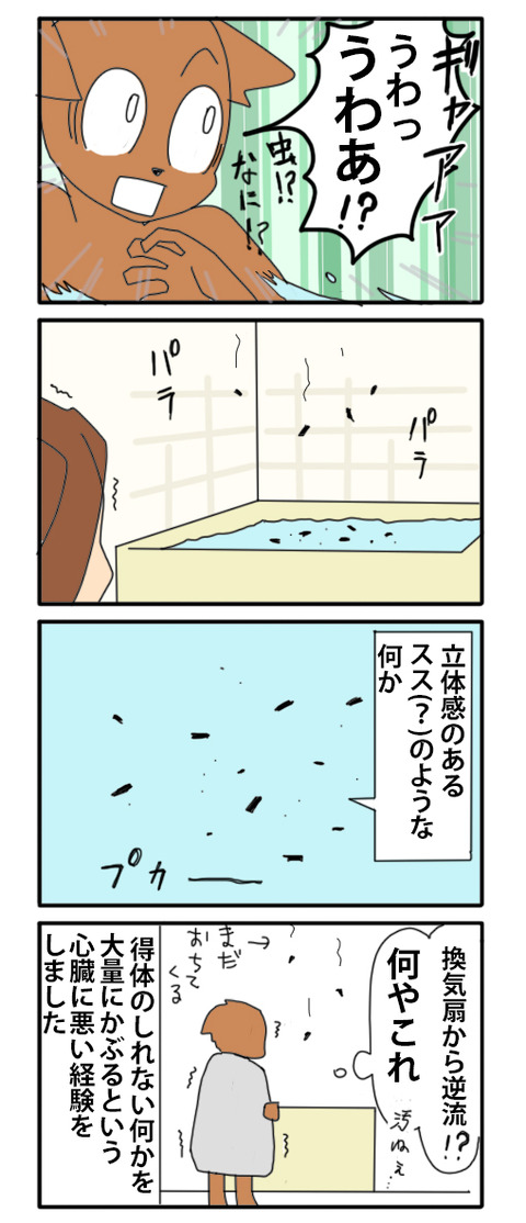 寒波03