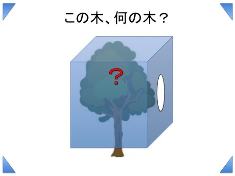 スライド13