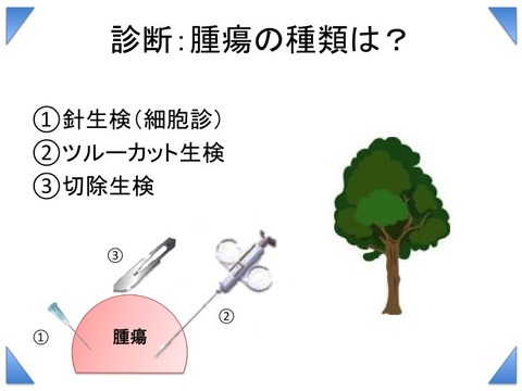 スライド15