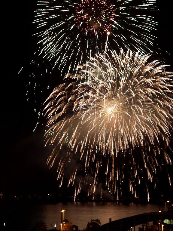 第46回さぬき高松まつり花火大会 どんどん高松 時の流れに 第46回さぬき高松まつり花火大会 どんどん高松 時の流れに