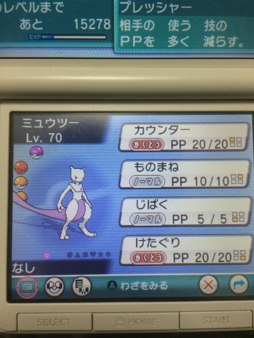 じばくミュウツー捕獲日記 タイプ ワイルドになりたくて