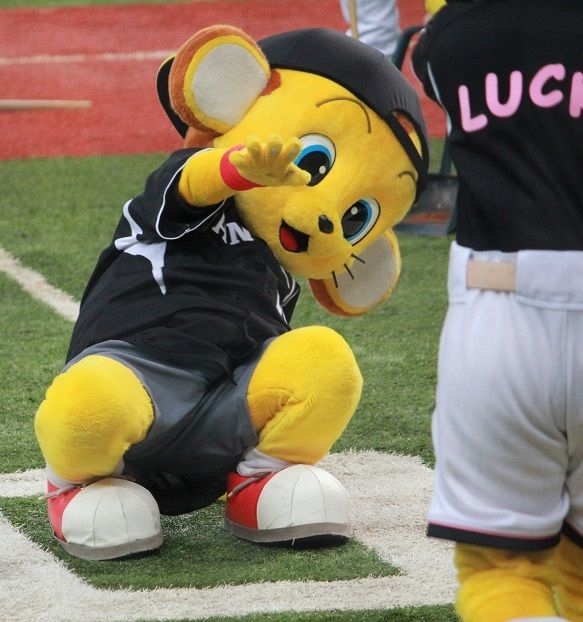 キー太のかわいさを伝えたい 非常識 なんj キー太のかわいさを伝えたい 非常識 なんj