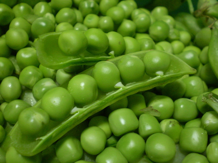 d08637b93c936c9fed420d02973127f2