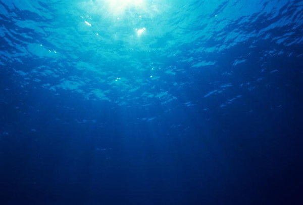 深海とかいう宇宙よりも謎な領域wwwwwwwwwww 非常識 なんj 深海とかいう宇宙よりも謎な領域wwwwwwwwwww 非常識 なんj