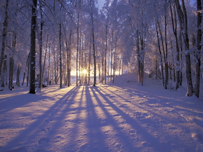 Winter-Sunset-Alaska