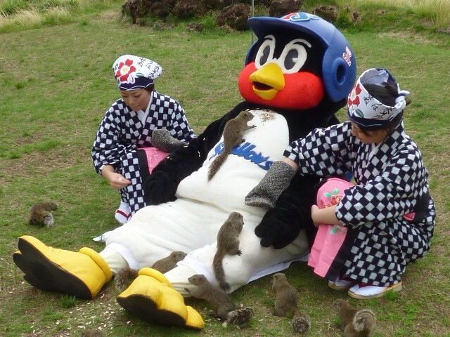 つば九郎ってかわいいよな 非常識 なんj つば九郎ってかわいいよな 非常識 なんj