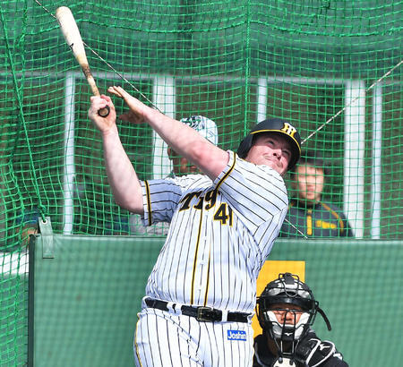 20200201-02011056-nksports-000-7-view