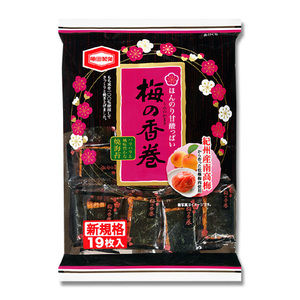 nori_umenoka_p480sq