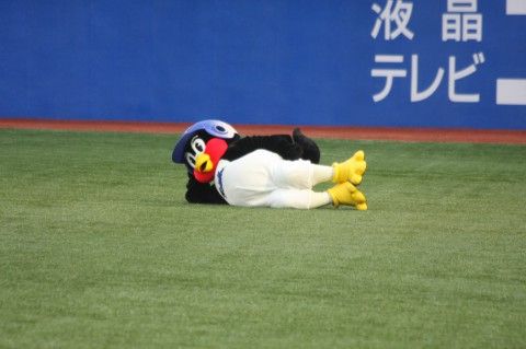 20130325_kumamon_13-480x319