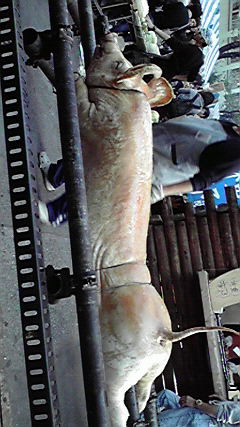 18535b30.jpg