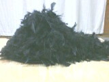 2779a868.jpg