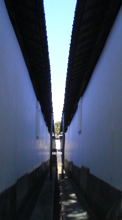 9f15865c.jpg