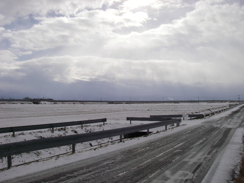IMGP0115