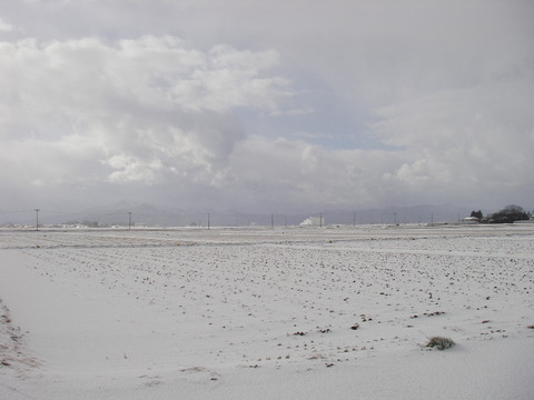 IMGP0117