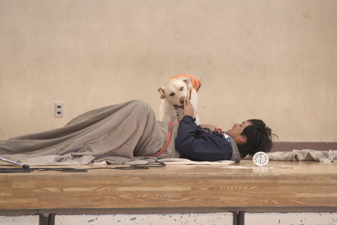 起きて遊んでほしい聴導犬さん