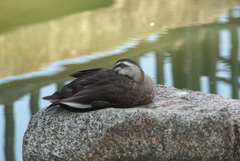 ちょっと気にしてる方