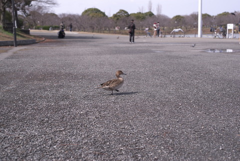 入ろうかな…