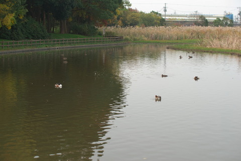 ということで帰ります