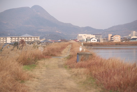 ようやく堤体まで来ました