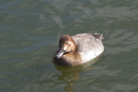 もう行っちゃうんですかぁ